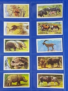 Brooke Bond PG Tips WILDLIFE IN DANGER BLACK BACK REPRINTS - Full Set of 50 - Picture 1 of 10
