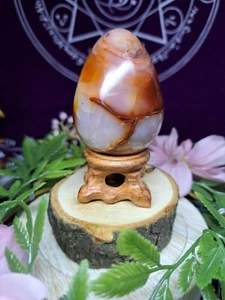 Schönes Karneelian Achat Kristall Ei 132g 5,6 cm heilendes Reiki Geschenk + Ständer - Bild 1 von 15