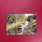 Postcard Peak Forest Canal Marple Peter Pedley (E60) 