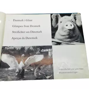 Rare Pictoral Book: Glimpses from Denmark and Greenland 1955 HC 23 pages - Picture 1 of 5