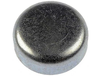 Enchufe de expansión Dorman 74787WXMF 1989 4,2 L 6 cilindros para Jeep Wrangler 1988-1990 Foto 1 de 2