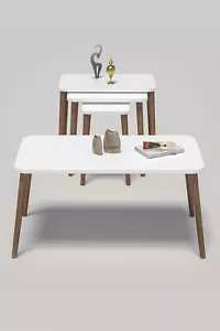 4 Piece Living Room Table set with Wooden Legs - 1 Coffee table and 3 Nesting - Picture 1 of 3