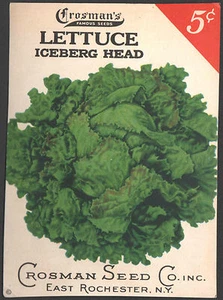 *Vintage* LETTUCE Head Vegetable Seed Packet Front Only CROSMAN SEED 1930's RARE - Picture 1 of 1