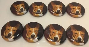 Set Of 8 "Red Basenji Face" Fridge Magnets / 8 Aimants A Frigo "Basenji Rouge"🐺 - Picture 1 of 12