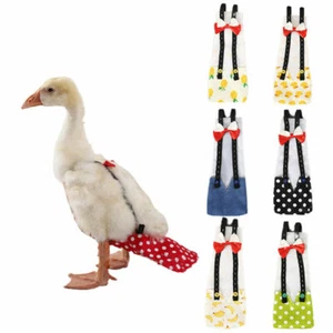 Pet Chicken Duck Diaper Washable Farm Animal Clothes Adjustable Diapers with Tie - Picture 1 of 14