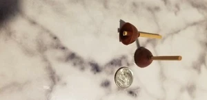 dollhouse miniatures - Picture 1 of 1