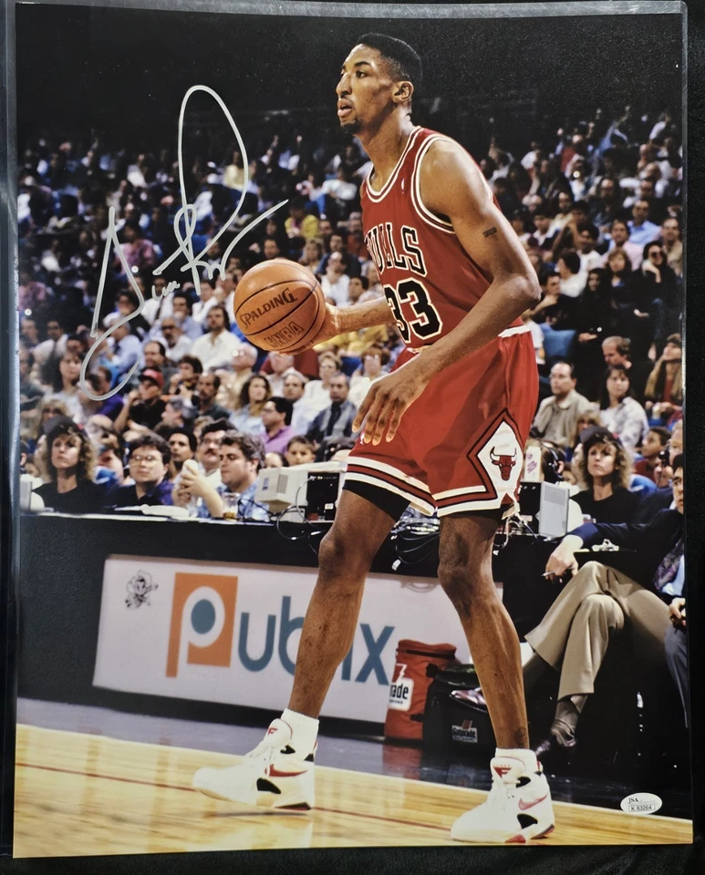 Scottie Pippen Chicago Bulls Signed Autographed 16x20 Photo JSA - Image 1 of 1