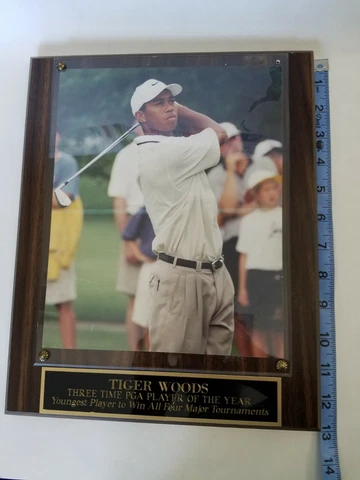 TIGER WOODS GOLF 8"x10" PHOTO- FRAMED PLAQUE UNSIGNED Cover