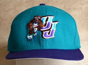 Utah Jazz New Era Bajo Perfil Snapback Gorra Pequeño Oso Turquesa Púrpura EE. UU. - Imagen 1 de 7