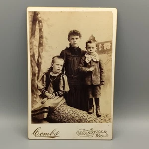 E E Peines Vintage Fotografía Gabinete Tarjeta Madre Niños 1889 Retrato Antiguo - Imagen 1 de 20