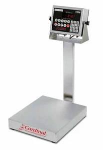 Detecto EB-150-210 Bench Scale, 16" x 14", 150lb Capacity, Steel, 210 Indicator - Picture 1 of 1