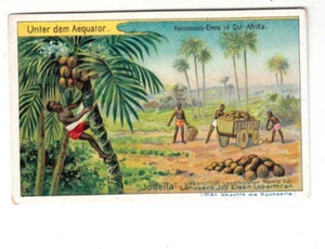 Sammelbild Jodella, Lahusen's Jod Eisen Lebertran, "Unter dem Äquator", ca. 1910 - Bild 1 von 2