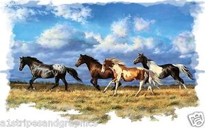 Horse Stallion Mustang #2 RV Trailer Wall Mural Decal Decals Graphics Art