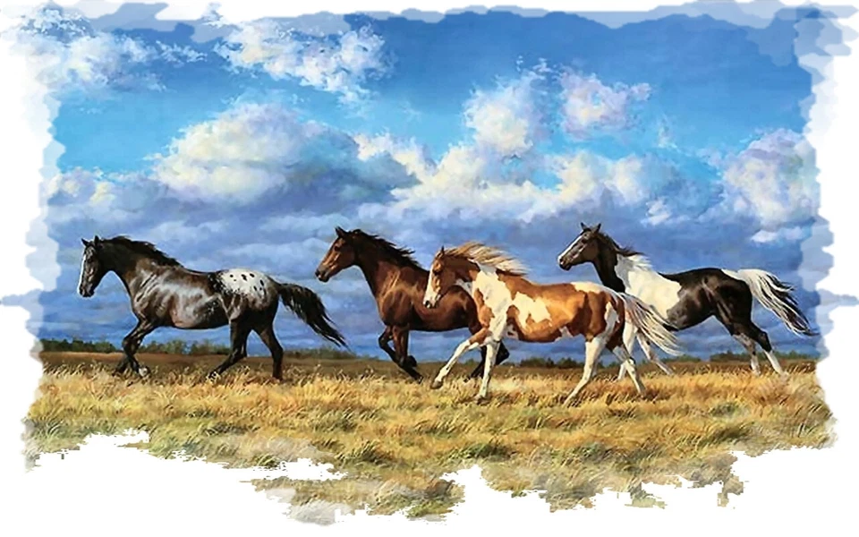 Horse Stallion Mustang #2 RV Trailer Wall Mural Decal Decals Graphics Art - Image 1 of 2