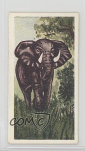 1954 Neilson's Chocolate Interesting Animals African Elephant #31 n1u