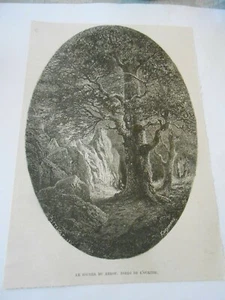Gravure 1872  - Le Rocher de Hérou bord de l'ourthe - Picture 1 of 1