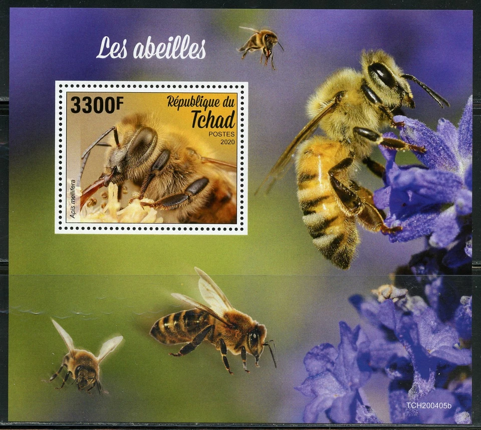 Chad 2020 Api Souvenir Foglio come Nuovo Mai Incernierato - Immagine 1 di 1