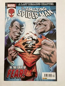 The Amazing Spider-Man 29, UK Panini, Newsstand Edition Bagged And Boarded - Bild 1 von 6