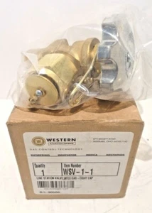 1/2" Western WSV-1-1 Line Station Valve With Gas Tight Cap. 1/2" MNPT 200psi max - Picture 1 of 3