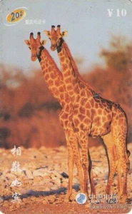 CHINA. 2 JIRAFAS - 2 GIRAFFES. CQ-2002-6(4-2). (604) - Imagen 1 de 2