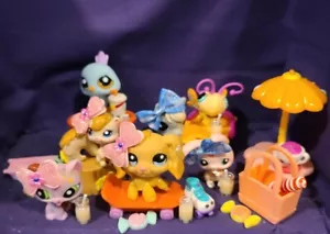 Autentico Littlest Pet Shop #1714 #1715 #1716 #1717 #1718 #1719 #1720 Set di Cocker - Foto 1 di 10