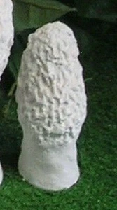 6009 x-kleine Fee Pixi Morchel Morrell Pilz Latex Fiberglas Produktion Form - Bild 1 von 8