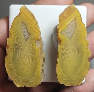Polished Agate Display Specimen Split Matching Pair Agate Creek Lapidary 31 Gram - Picture 1 of 13