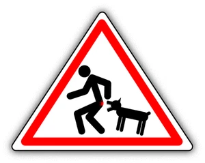 Caution Wicked Dog Warning Sign Funny Car Bumper Sticker Decal 5" x 4" - Picture 1 of 1