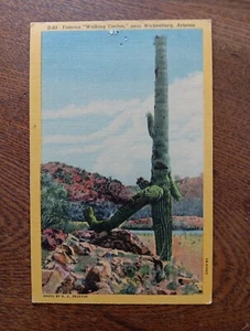 Berühmter "Wandernder Kaktus" in der Nähe von Wickenburg Arizona Vintage Postkarte - Bild 1 von 6