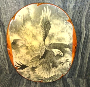"Vintage American Weißkopfseeadler Druck auf lackiertem Holz rustikale Wandkunst 19""x15,5" - Bild 1 von 6