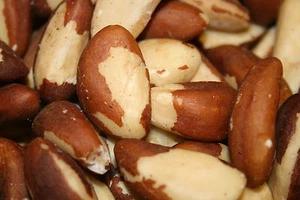 Brazil Nuts (Raw, No Shell, Premium, Whole, Natural) 2LBS - Picture 1 of 1