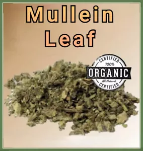 ORGANIC MULLEIN AUSTRALIA - Best Quality Dried Mullein Leaf Tea Herb-100g Sample - Foto 1 di 3