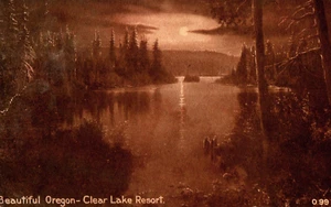 Beautiful Oregon Clear Lake Resort Sepia Night View with Moon Postcard - Picture 1 of 2