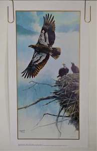 Mario F. Fernandez Story of an Eagle The First Flight Lim Ed Hand Signed Print - Picture 1 of 8