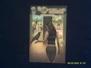 2010 COMICS THE OZ/WONDERLAND CHRONICLES PRELUDE TO EVIL # 1 DIFF COVER - Picture 1 of 2