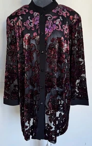De Colección Y2K Dressbarn Top Túnica 18W Burnout Terciopelo Hada Capricho Boho Festival - Imagen 1 de 23