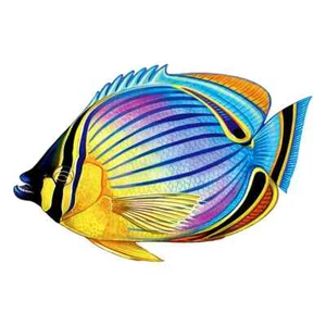 REDFIN BUTTERFLYFISH 5"x3" (CUSTOM MOSAICS INC - PORC-RF24-5) - Picture 1 of 1