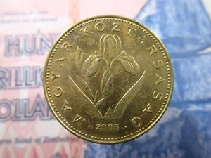 Hungary 20 Forint 2005 World Money Coin bh8L - Picture 1 of 2