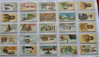 John Player Cigarette Cards Polar Exploration 2nd Series 1916