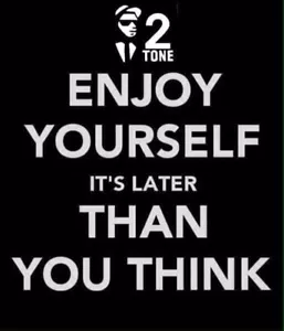 Vinyl Stickers Rectangular Enjoy Yourself Ska skinhead specials 2tone window car - Imagen 1 de 1