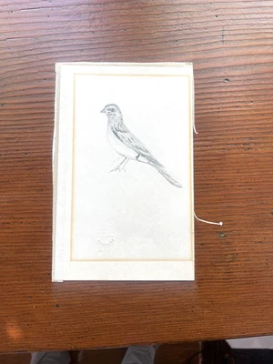 Lápiz dibujo vintage Sweet Bird Bernard Garbutt artista Disney años 40 Foto 1 de 4