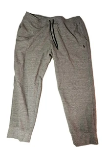 Polo Ralph Lauren Pants Mens Light Gray Double Knit Jogger Pants Size 2XB Pony - Imagen 1 de 9
