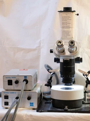 Macroscopio M400 WILD LEICA APOZoom 1:6 en soporte óptico personalizado excavador. Photo Ready Foto 1 de 4