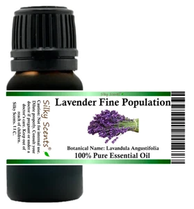 Silky Scents Lavender Fine Population Essential Oil (Lavandula angustifolia) - Bild 1 von 15