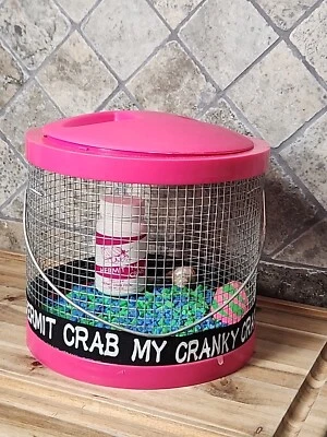 Caranguejo eremita pequeno bicho habitat casa plástico tampa rosa transparente alça pedras comida - Imagem 1 de 4