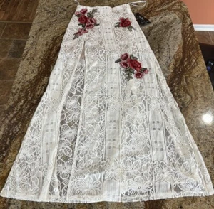 Lulu's Womens Skirt Sz S Partially Lined Floral Roses Lace Embroidered Boho NWT - Picture 1 of 11