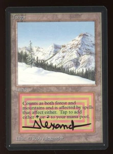 SIGNED 1993 Beta Taiga ~ Vintage MTG/Magic ~ MINT Condition - Picture 1 of 2