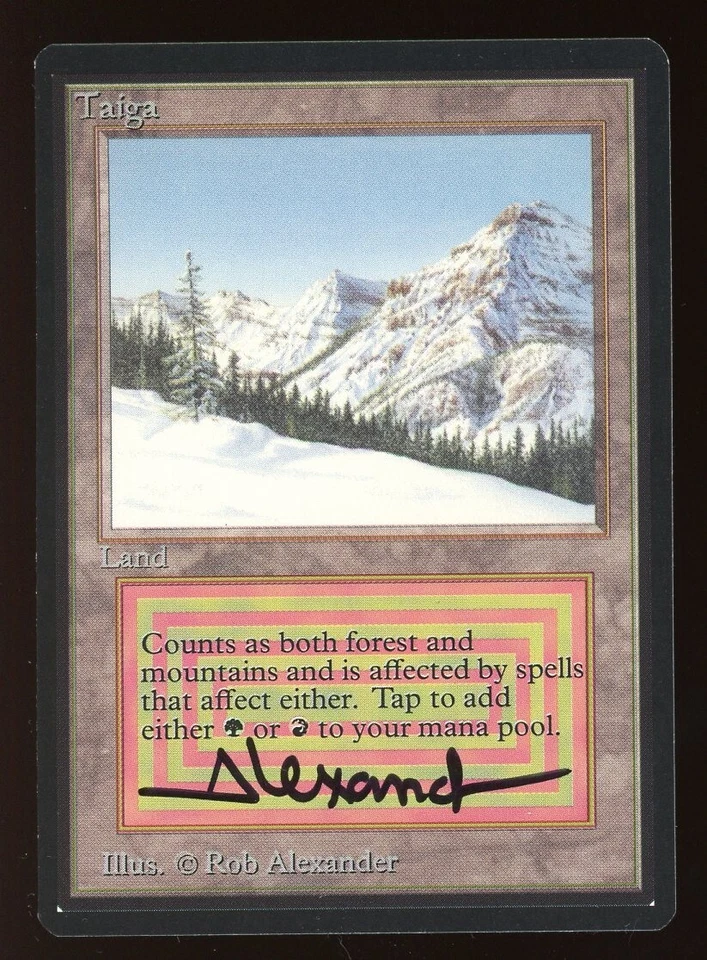 SIGNED 1993 Beta Taiga ~ Vintage MTG/Magic ~ MINT Condition - Image 1 of 2