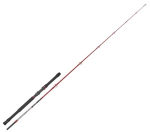 CANNA SPINNING TONNO KALIKUNNAN THUNNUS RENZO VALDIERI 2,40mt 30/180gr - Foto 1 di 3