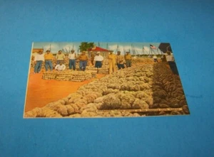 Schwammbörse Tarpon Springs, Florida Vintage Postkarte "Sunshine State" - Bild 1 von 2